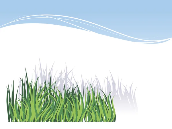 Gräs, isolerad på vit bakgrund — Stock vektor