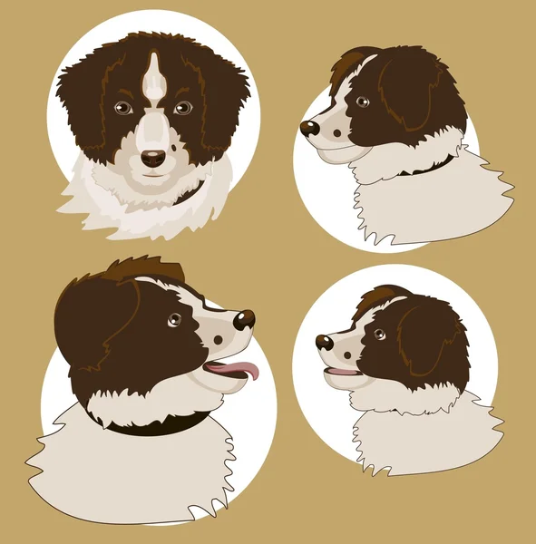 Four heads of the dog — Stock Vector