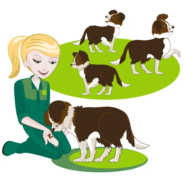 kıza bir köpek besleyen kuru gıda