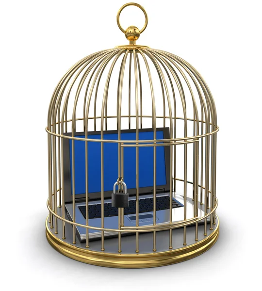 Cage en or avec ordinateur portable — Photo