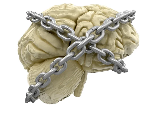 Cérebro humano e bloqueio — Fotografia de Stock