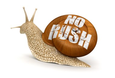 Hiç acele salyangoz