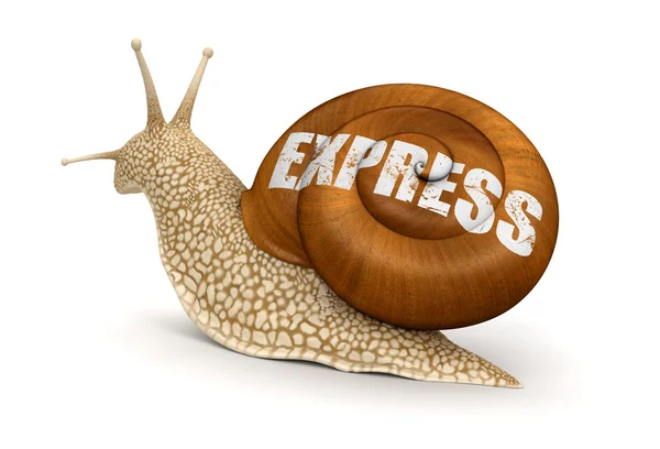 Express snail — Stock Photo, Image