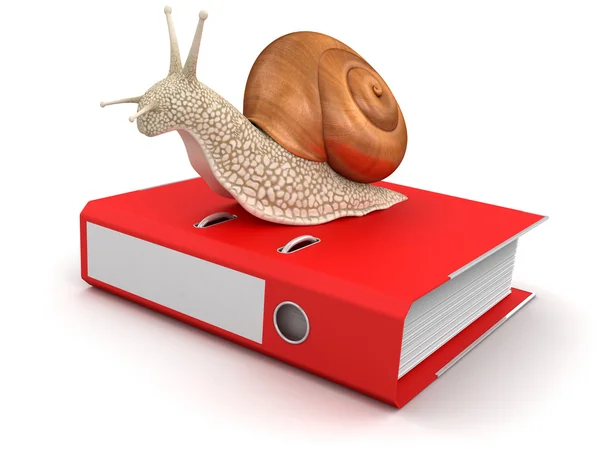 Snail and Document — Stock Photo, Image