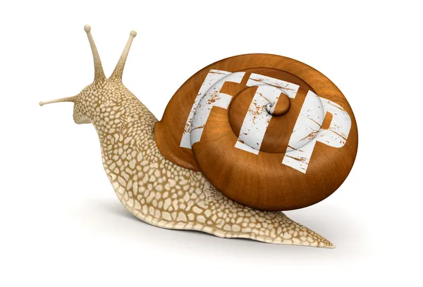 FTP šnek — Stock fotografie