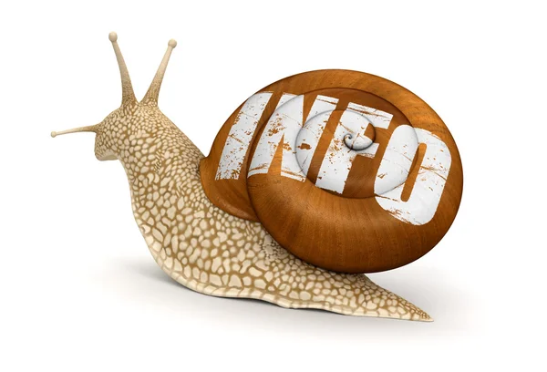 Snail info — Stock Photo, Image