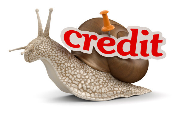 Credit snail