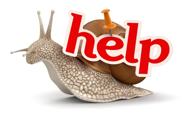 Help Snail — Stock Photo, Image