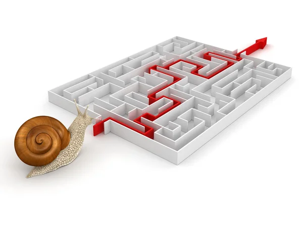 Snail and Maze — Stock Photo, Image
