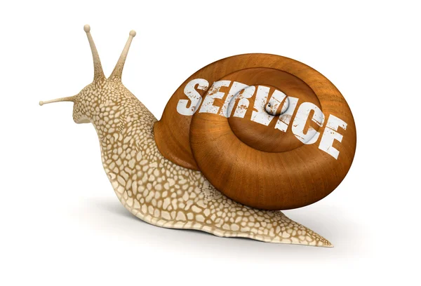 Service-Schnecke — Stockfoto