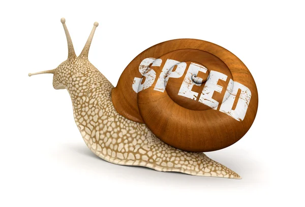 Ταχύτητα σαλιγκαριού — Φωτογραφία Αρχείου