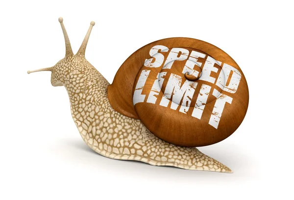 制限速度のカタツムリ — ストック写真