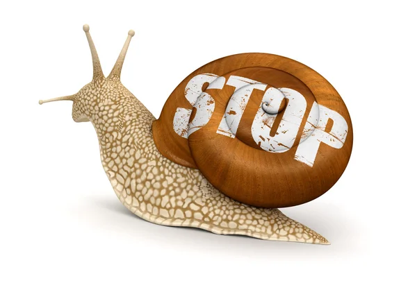 Garden snail and stop — Stock Photo, Image