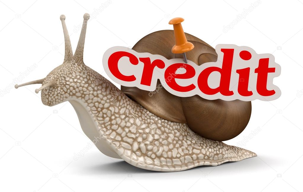 Credit snail