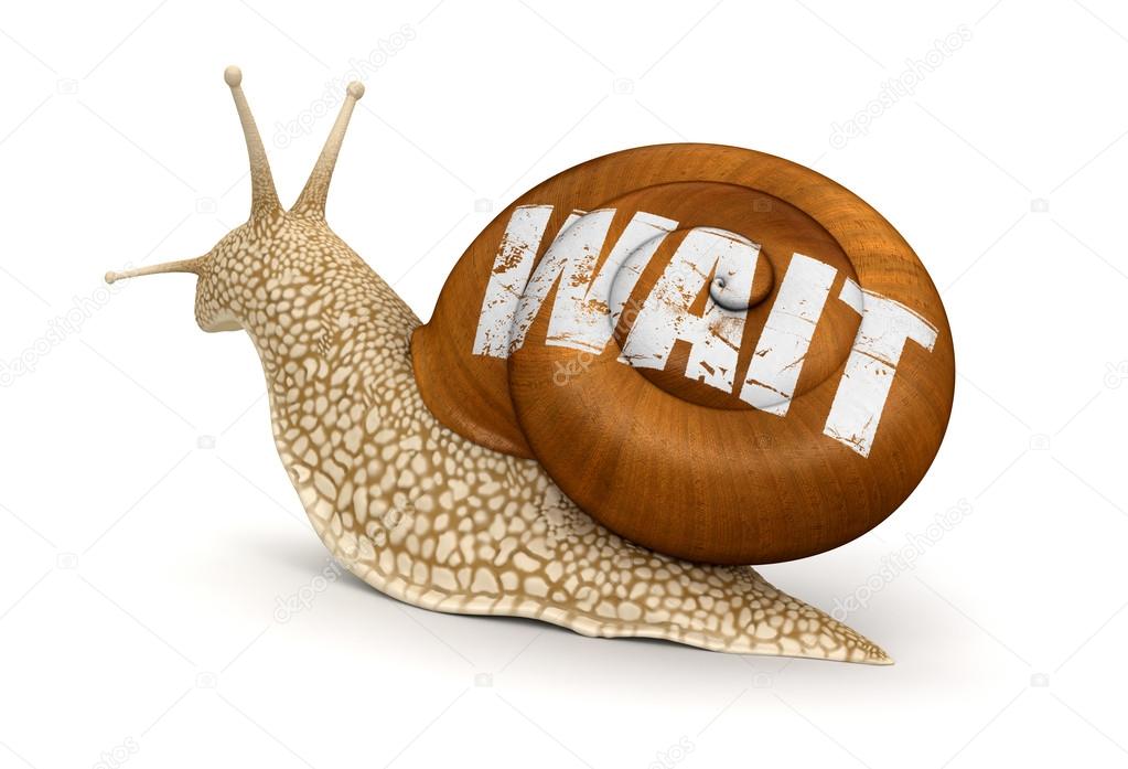 Wait snail