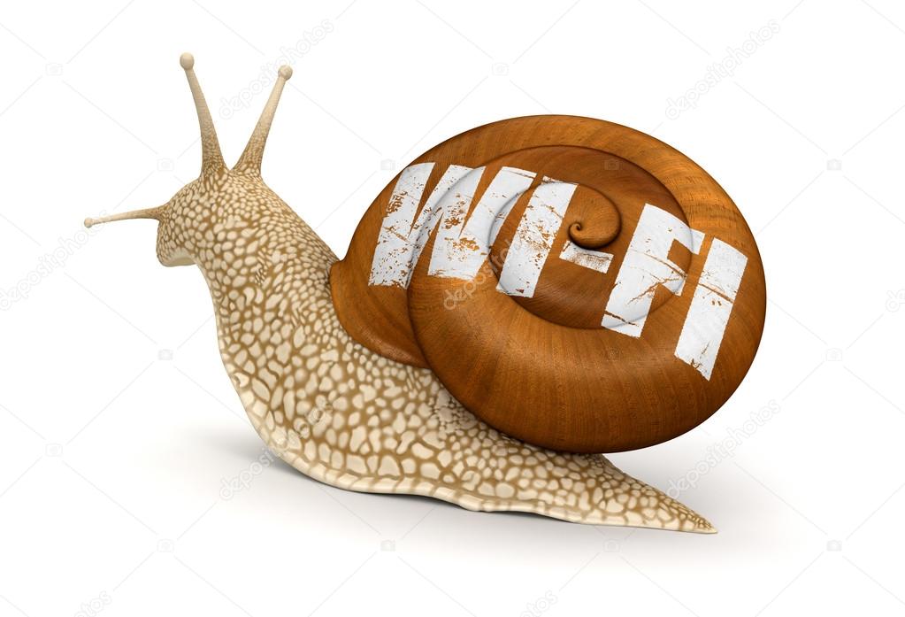 Wi-Fi snail