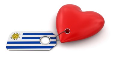 Arjantin bayrağı ile kalp