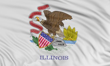Illinois bayrağı