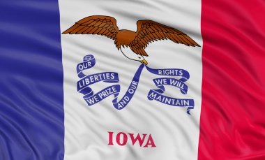 Iowa eyalet bayrağı