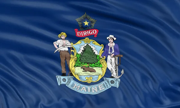 Maine Flag — Stock Photo, Image