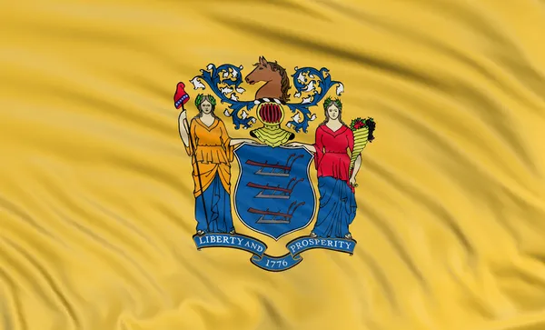 New Jersey Flag — Stok fotoğraf