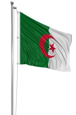 algir bayrağı