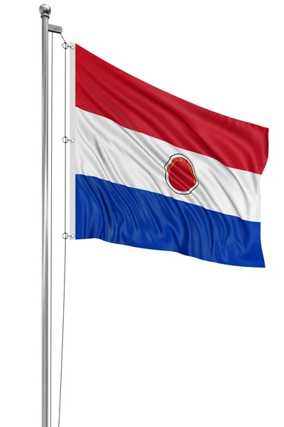 Paraguvays flag - Stock-foto