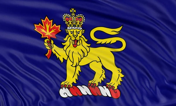 Flag of Governor-General of Canada — Stock Photo, Image