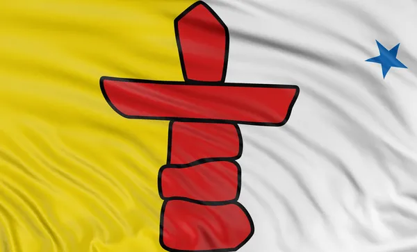 Nunavut bayrağı — Stok fotoğraf