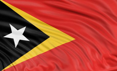 Doğu timor bayrağı