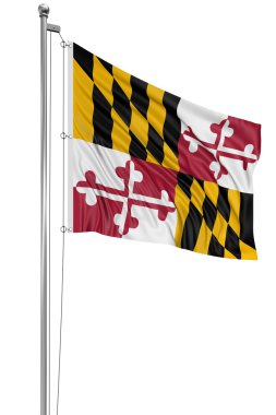 ABD devlet maryland bayrağı sallayarak