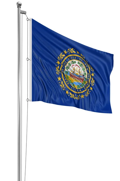 アメリカ合衆国のニューハンプシャー州の旗を振っています。 — ストック写真