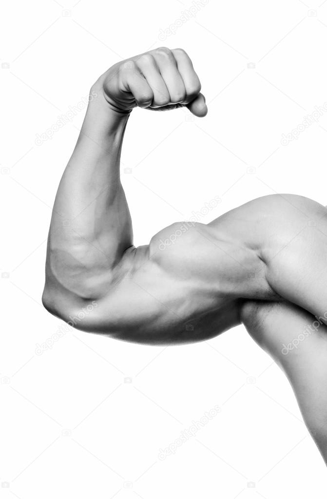 The male arm.