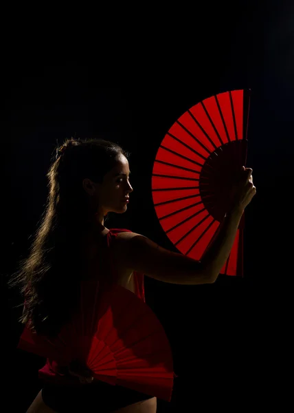 Bellezza del flamenco — Foto Stock