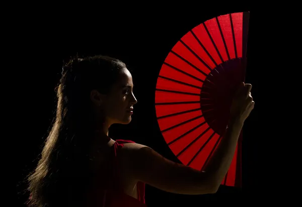 Flamenco konstnär — Stockfoto