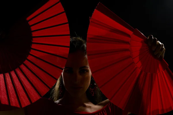Sensuele flamenco — Stockfoto