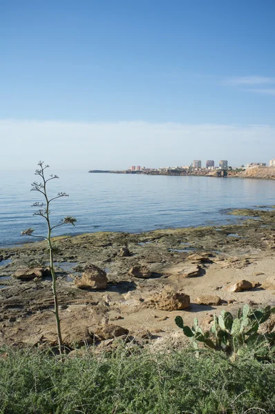 Torrevieja coast — Stock Photo, Image