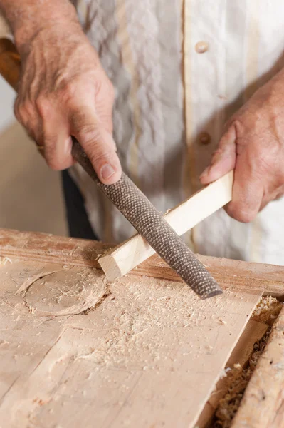 Carpenter rasp. — Stock Photo, Image