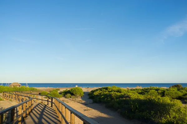 Aussichtsreicher Strand — Stockfoto