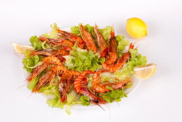 Mediterranean prawns — Stock Photo, Image