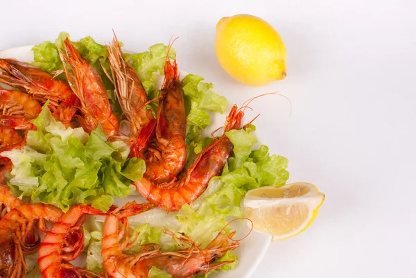 Grilled prawns — Stock Photo, Image