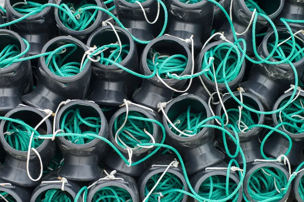 Caracatiță de pescuit — Fotografie, imagine de stoc