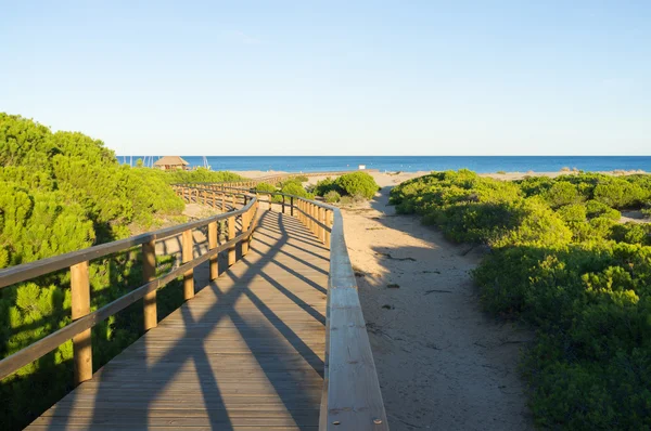 Carabassi beach — Stok fotoğraf