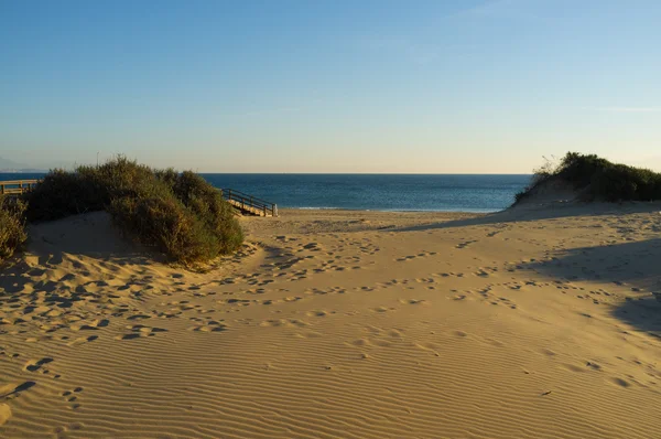 Костальные дюны — стоковое фото