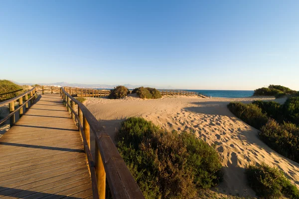 Across the dunes — Stock Photo, Image