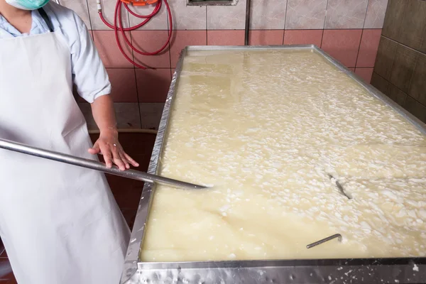 Fermenting milk — Stock Photo, Image