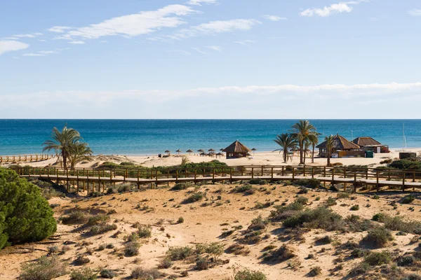 Dunas costeras — Foto de Stock