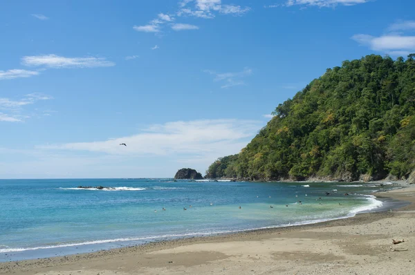 Tropical beach — Stock Photo, Image