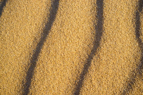 Padrão de areia undulada — Fotografia de Stock