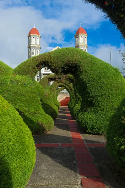 Detalle del parque Zarcero — Foto de Stock